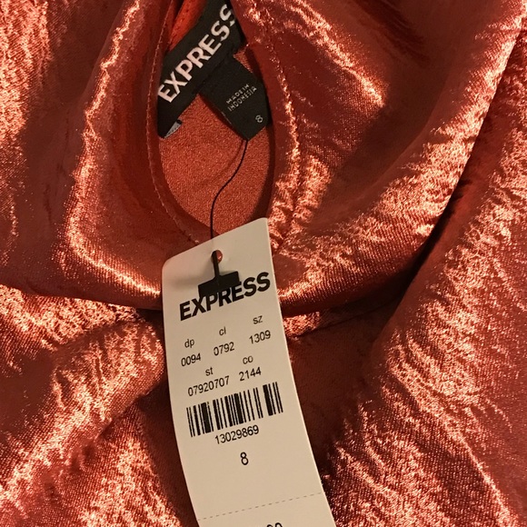 Express Dress - Picture 5 of 5